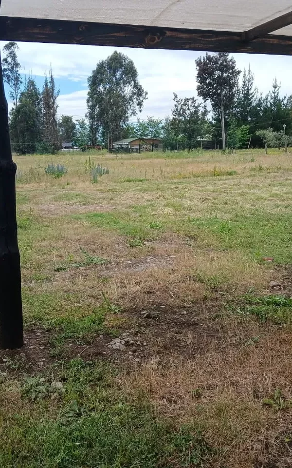 32
